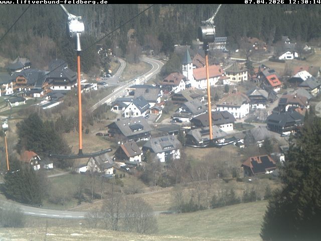 Archiv Foto Webcam Schwarzwald Altglashütten