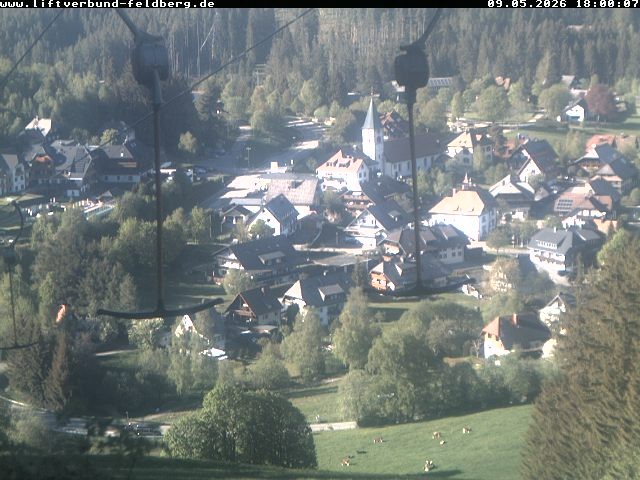 Archiv Foto Webcam Schwarzwald Altglashütten