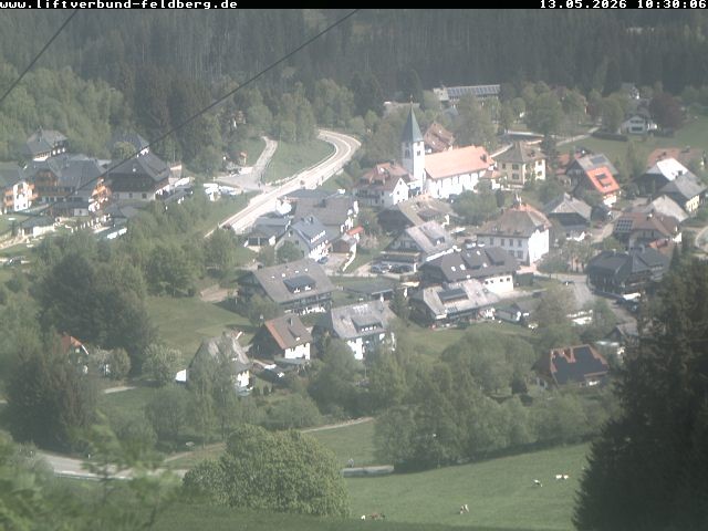 Archiv Foto Webcam Schwarzwald Altglashütten