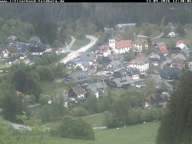 Archiv Foto Webcam Schwarzwald Altglashütten