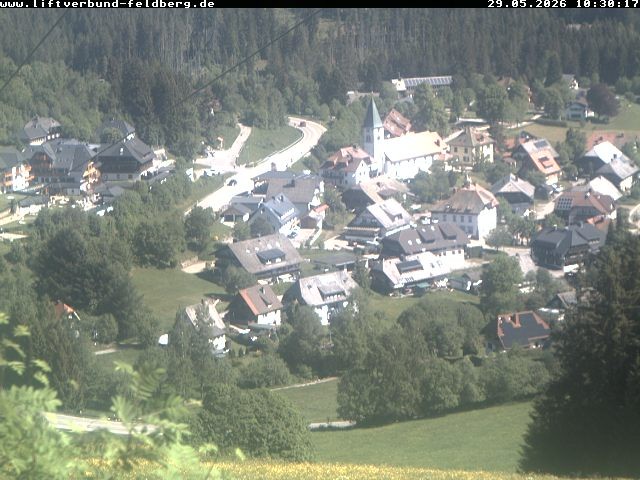 Archiv Foto Webcam Schwarzwald Altglashütten