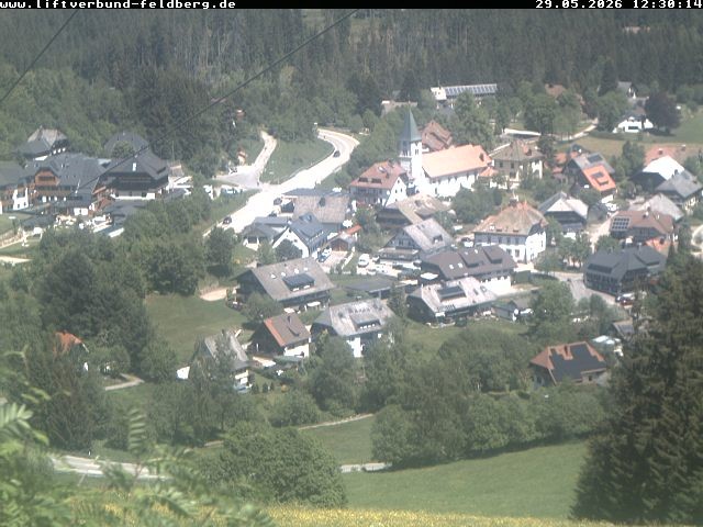 Archiv Foto Webcam Schwarzwald Altglashütten