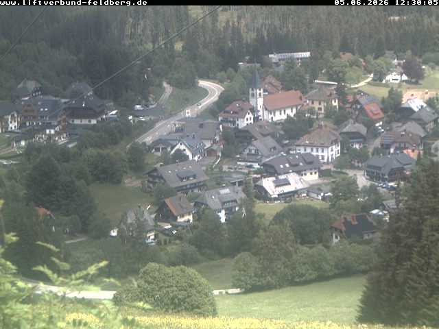 Archiv Foto Webcam Schwarzwald Altglashütten