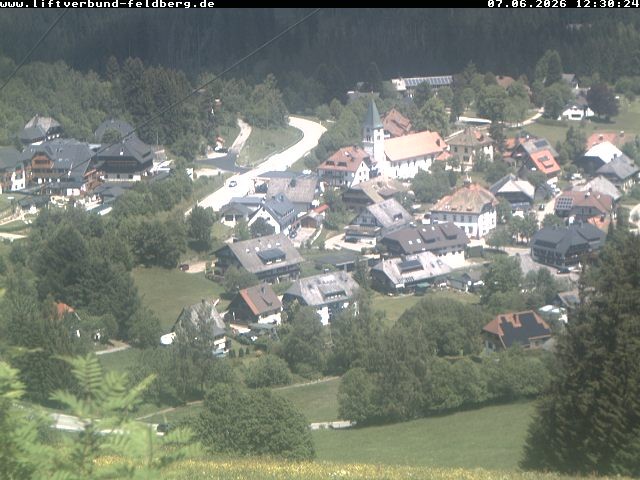 Archiv Foto Webcam Schwarzwald Altglashütten