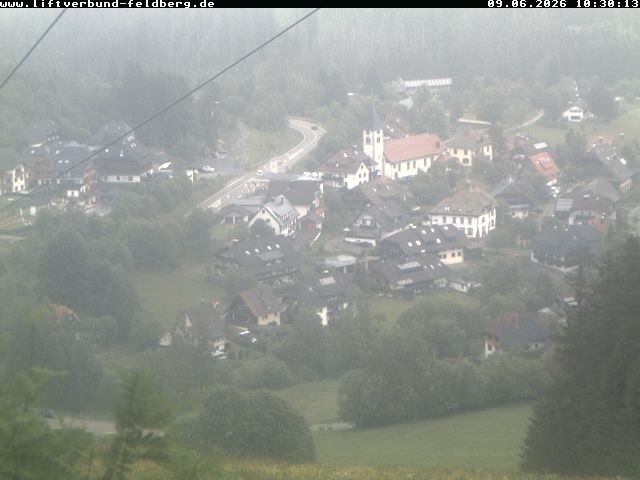 Archiv Foto Webcam Schwarzwald Altglashütten