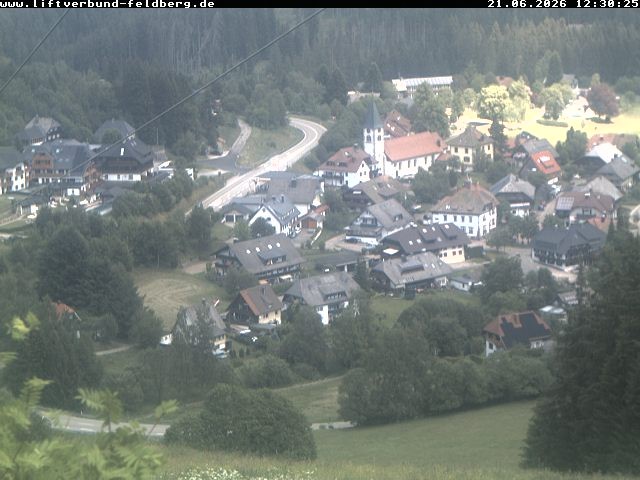Archiv Foto Webcam Schwarzwald Altglashütten