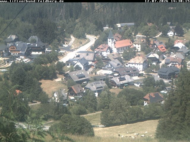 Archiv Foto Webcam Schwarzwald Altglashütten