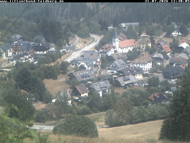 Archiv Foto Webcam Schwarzwald Altglashütten