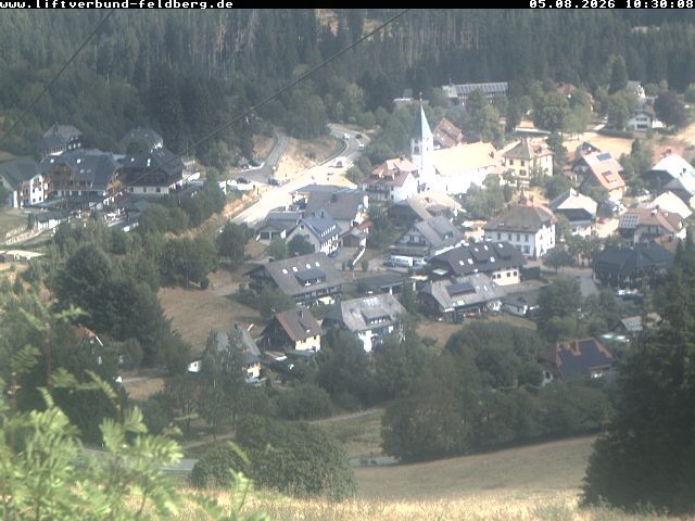 Archiv Foto Webcam Schwarzwald Altglashütten