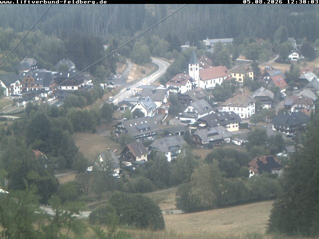 Archiv Foto Webcam Schwarzwald Altglashütten