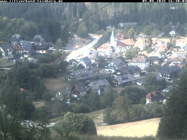 Archiv Foto Webcam Schwarzwald Altglashütten