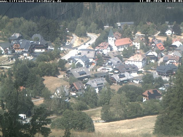 Archiv Foto Webcam Schwarzwald Altglashütten