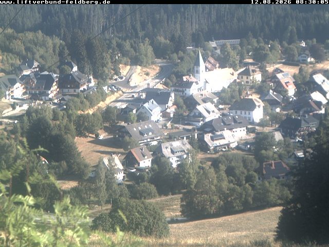 Archiv Foto Webcam Schwarzwald Altglashütten
