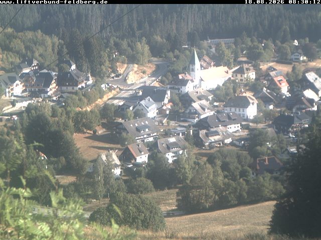 Archiv Foto Webcam Schwarzwald Altglashütten