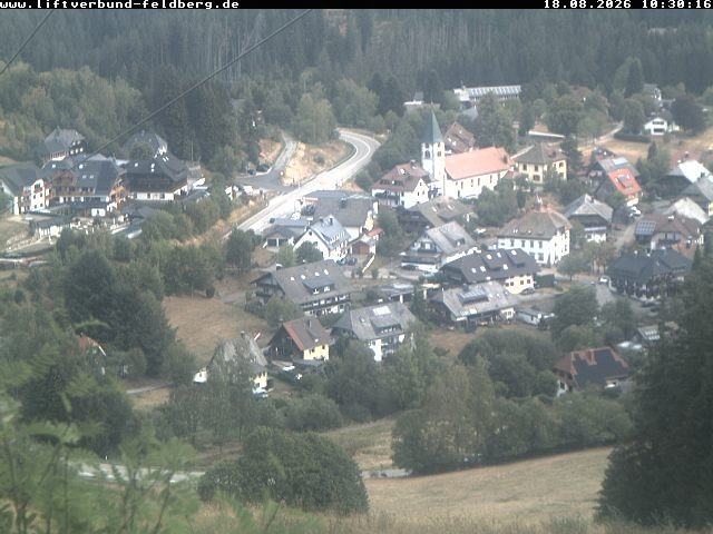 Archiv Foto Webcam Schwarzwald Altglashütten