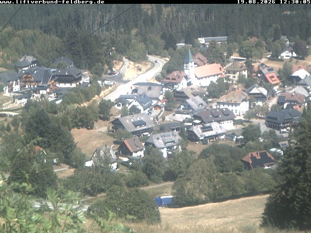 Archiv Foto Webcam Schwarzwald Altglashütten