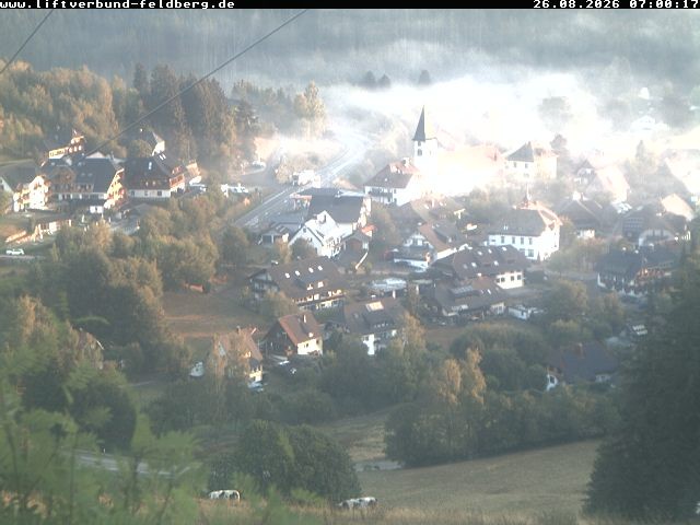 Archiv Foto Webcam Schwarzwald Altglashütten