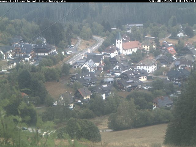Archiv Foto Webcam Schwarzwald Altglashütten