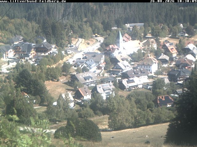 Archiv Foto Webcam Schwarzwald Altglashütten