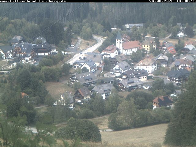 Archiv Foto Webcam Schwarzwald Altglashütten