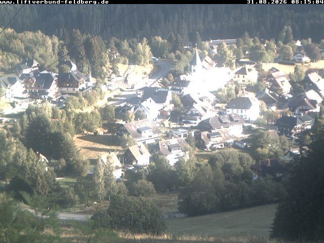 Archiv Foto Webcam Schwarzwald Altglashütten