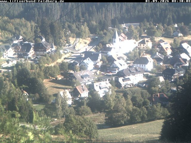 Archiv Foto Webcam Schwarzwald Altglashütten
