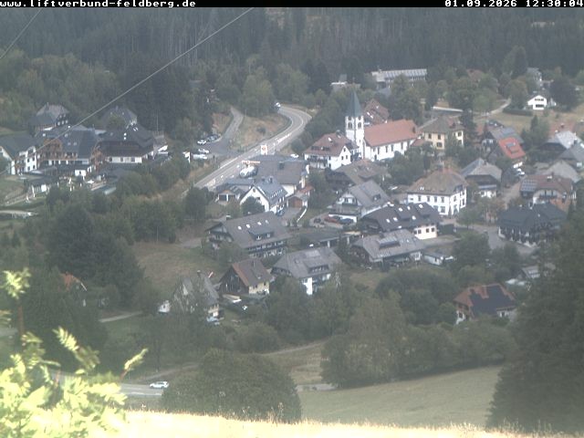 Archiv Foto Webcam Schwarzwald Altglashütten