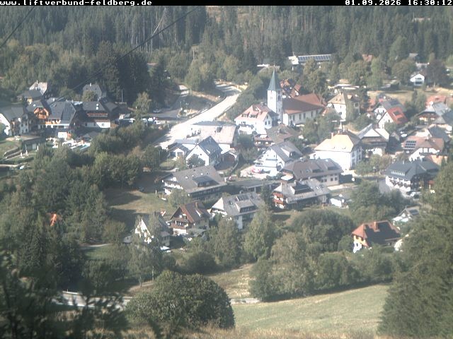 Archiv Foto Webcam Schwarzwald Altglashütten