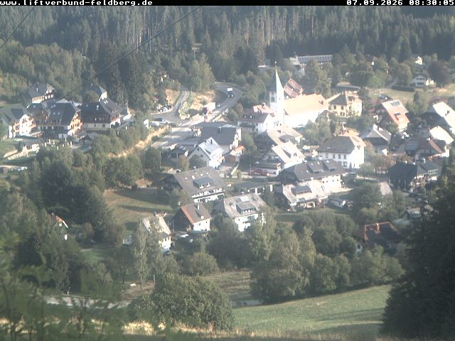 Archiv Foto Webcam Schwarzwald Altglashütten