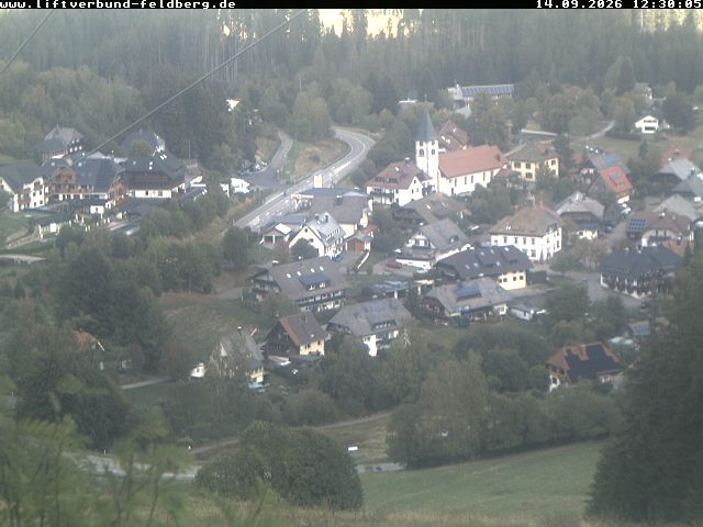 Archiv Foto Webcam Schwarzwald Altglashütten