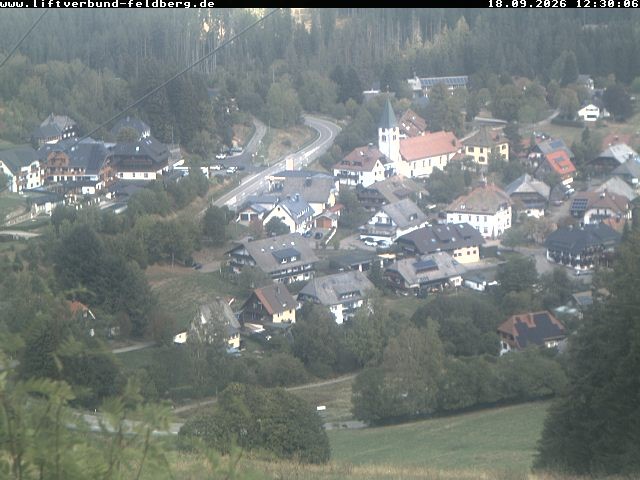 Archiv Foto Webcam Schwarzwald Altglashütten