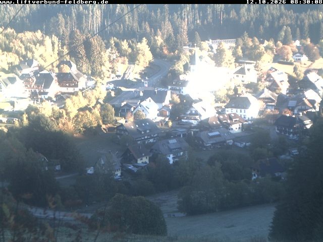 Archiv Foto Webcam Schwarzwald Altglashütten
