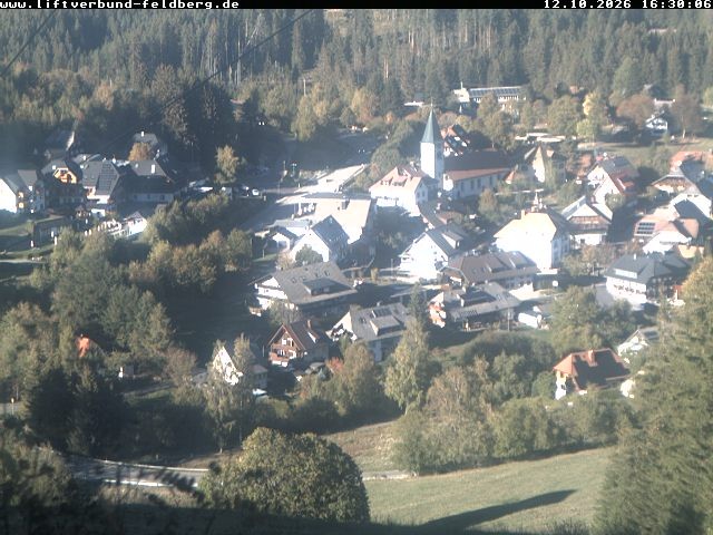 Archiv Foto Webcam Schwarzwald Altglashütten