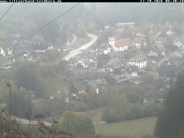 Archiv Foto Webcam Schwarzwald Altglashütten