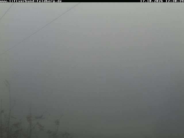 Archiv Foto Webcam Schwarzwald Altglashütten