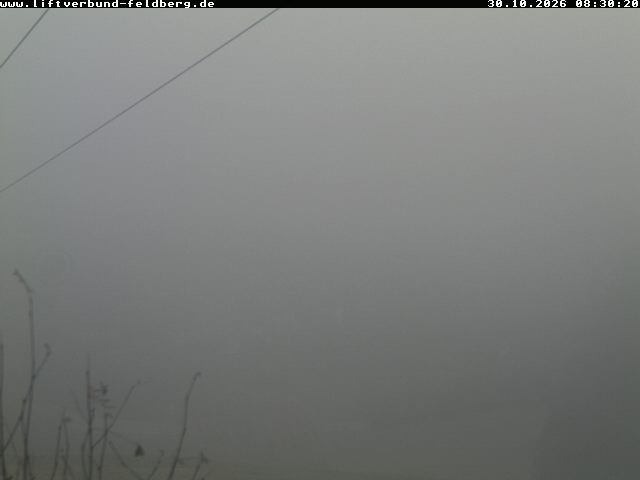 Archiv Foto Webcam Schwarzwald Altglashütten