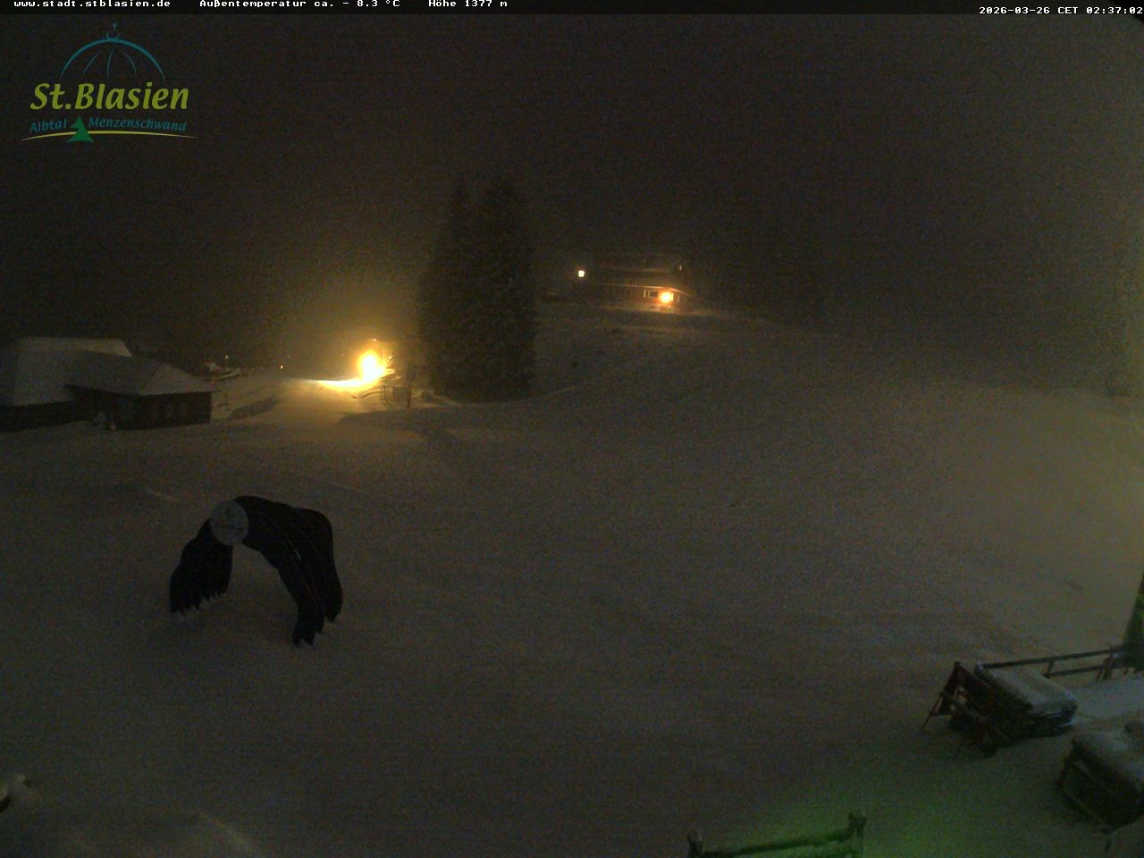 Archiv Foto Webcam Feldberg - Grafenmatt
