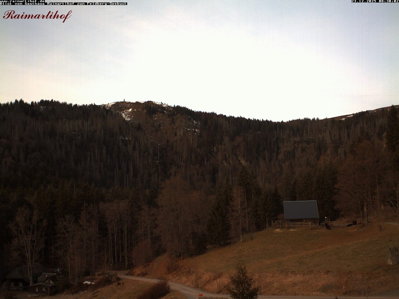 Archiv Foto Webcam Feldberg Raimartihof