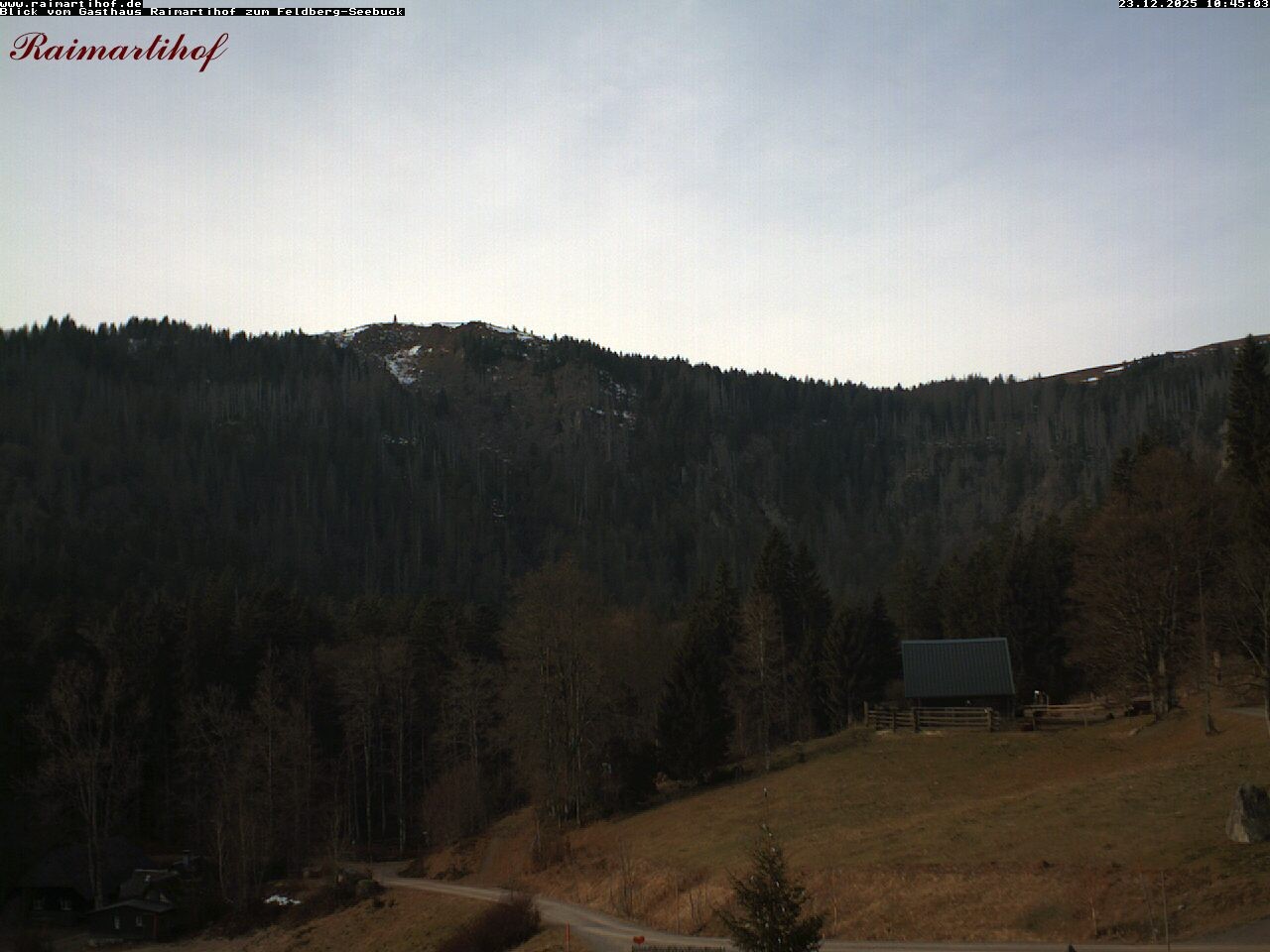 Archiv Foto Webcam Feldberg Raimartihof