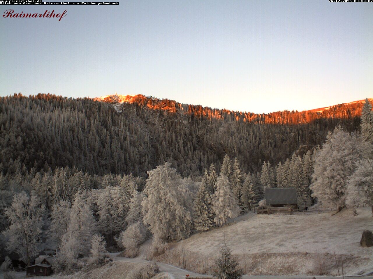 Archiv Foto Webcam Feldberg Raimartihof