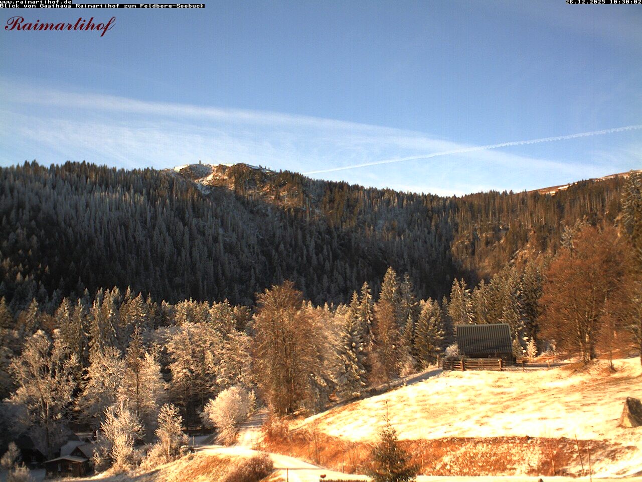 Archiv Foto Webcam Feldberg Raimartihof