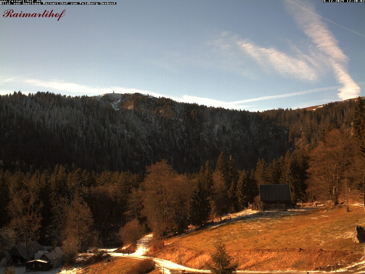 Archiv Foto Webcam Feldberg Raimartihof