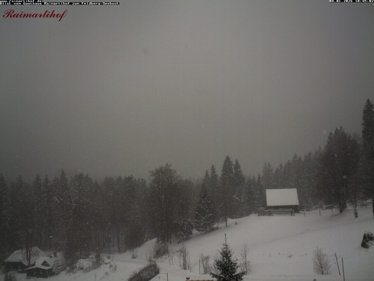 Archiv Foto Webcam Feldberg Raimartihof