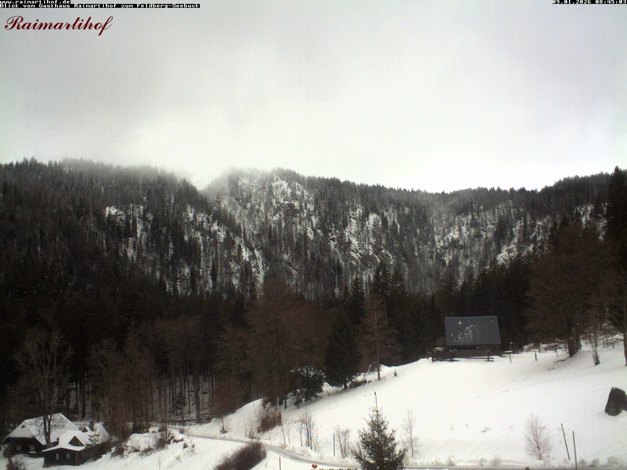 Archiv Foto Webcam Feldberg Raimartihof