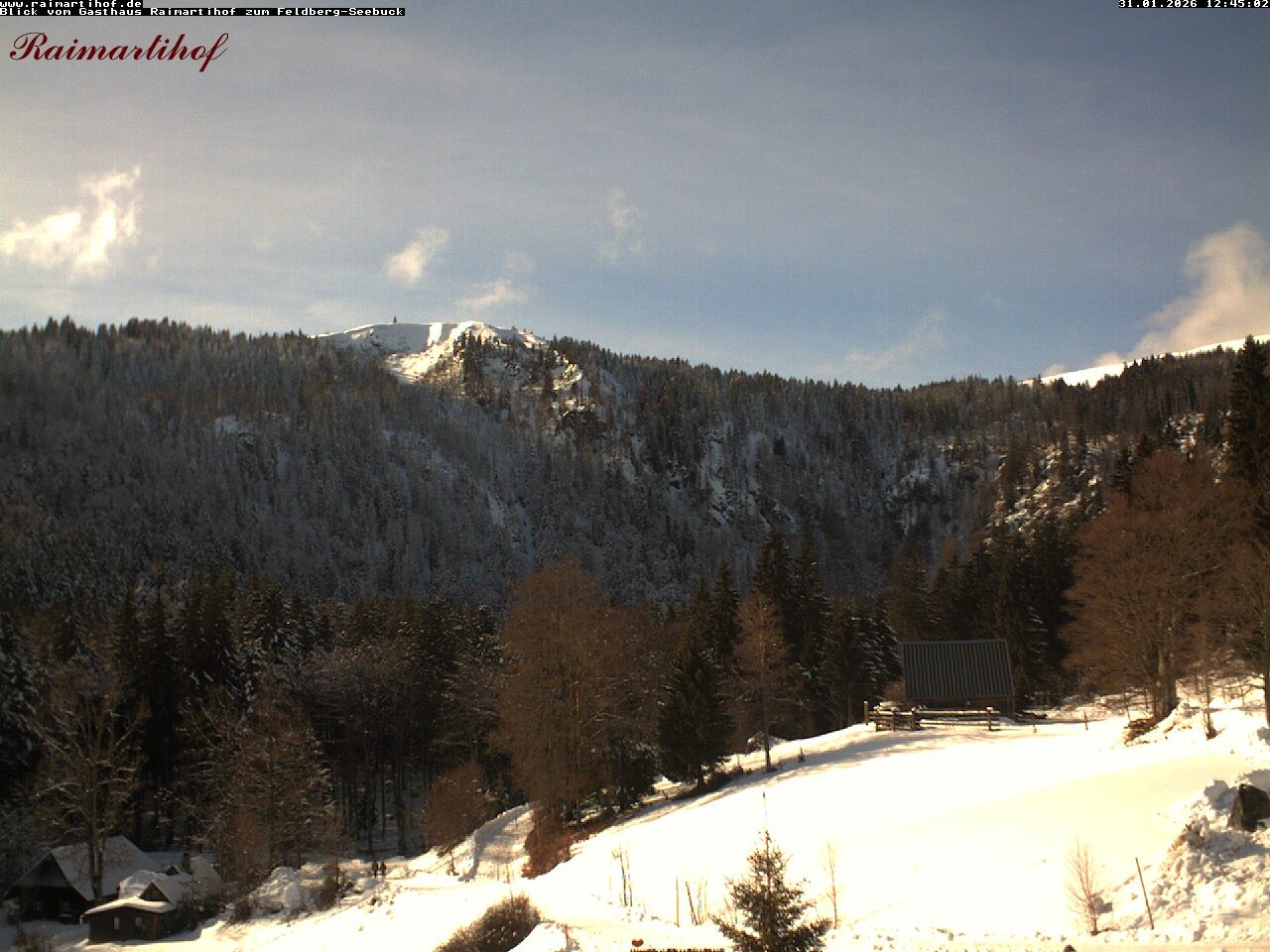 Archiv Foto Webcam Feldberg Raimartihof
