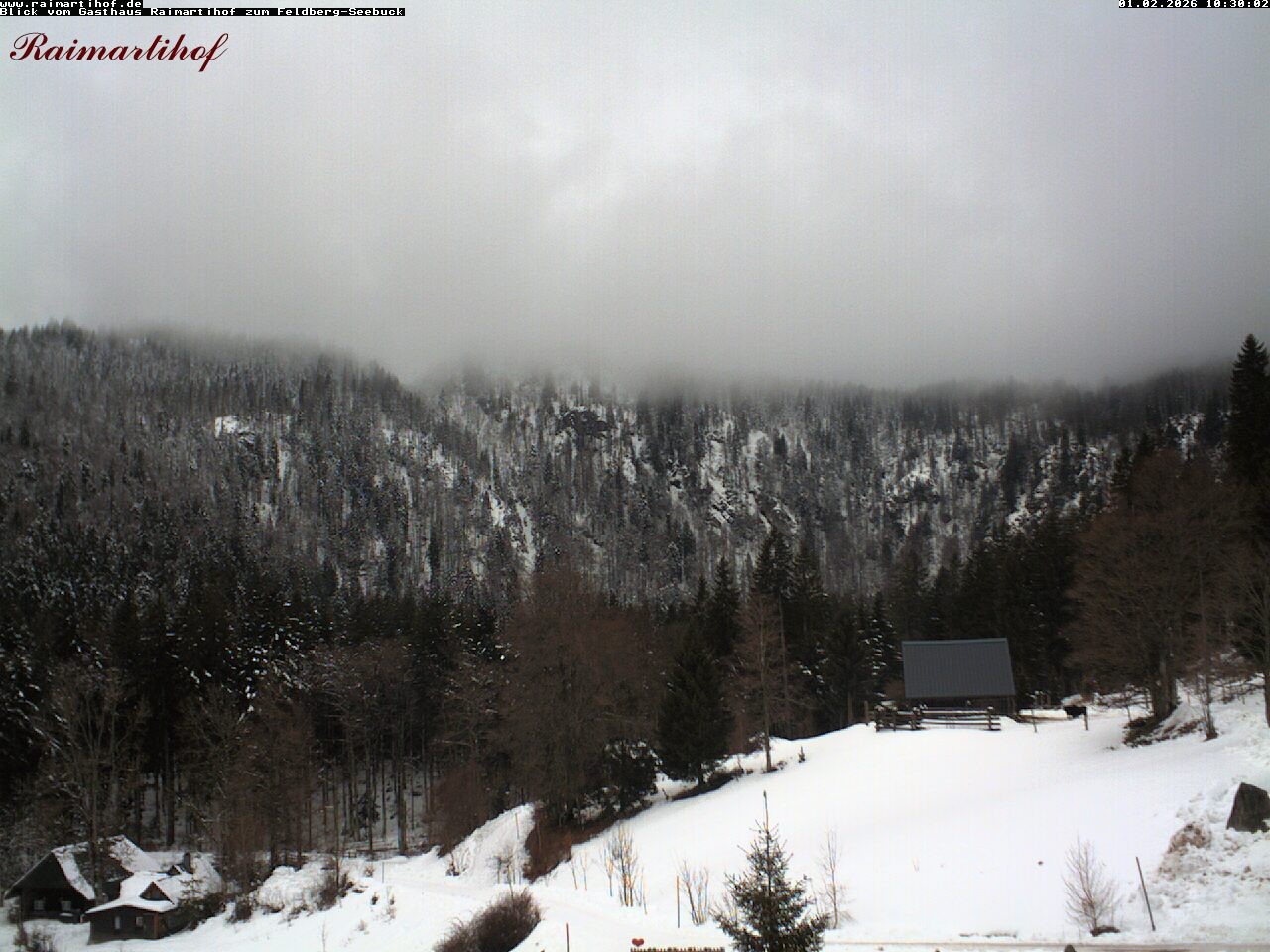 Archiv Foto Webcam Feldberg Raimartihof