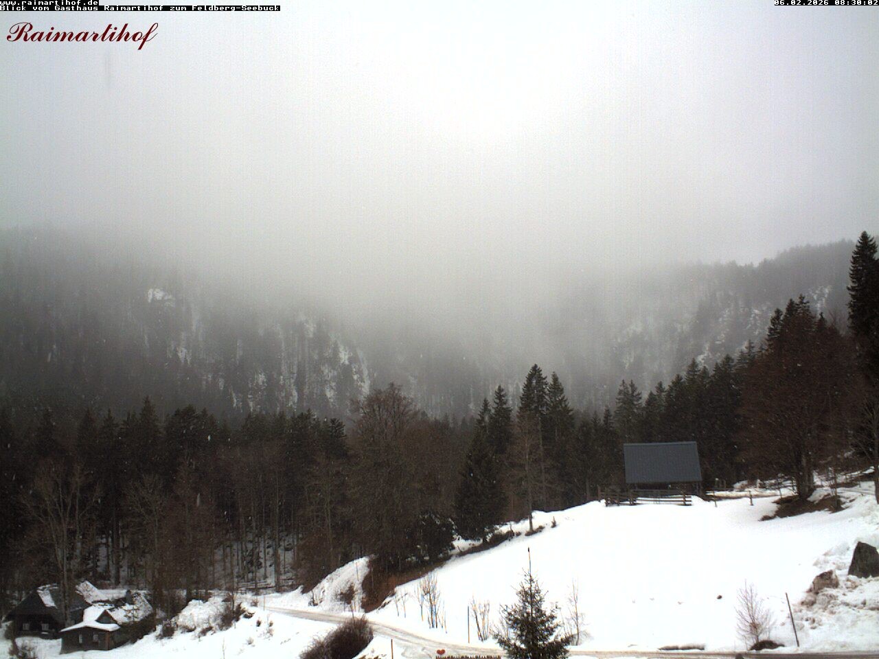 Archiv Foto Webcam Feldberg Raimartihof