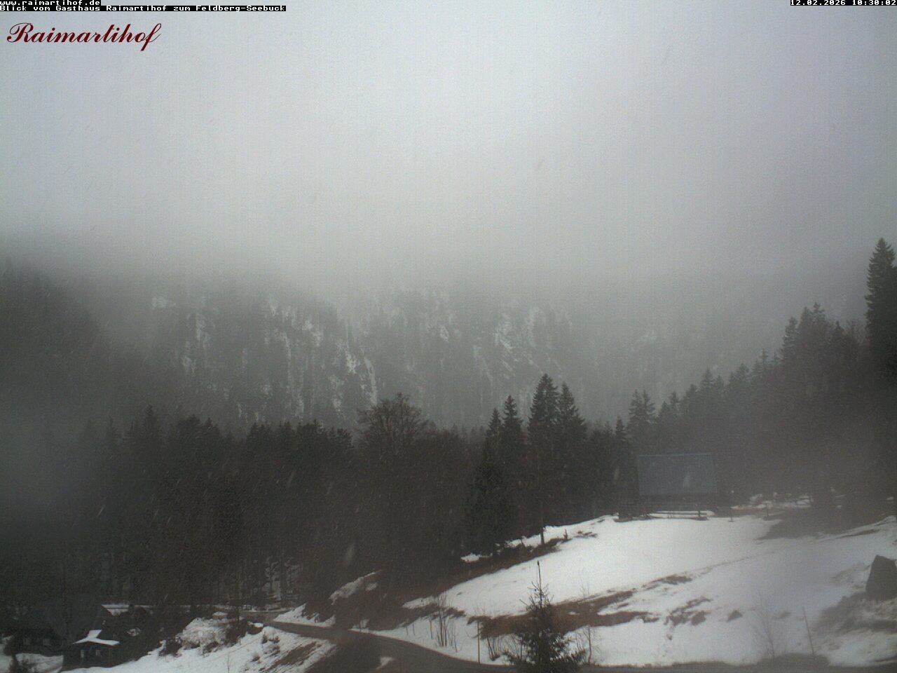 Archiv Foto Webcam Feldberg Raimartihof