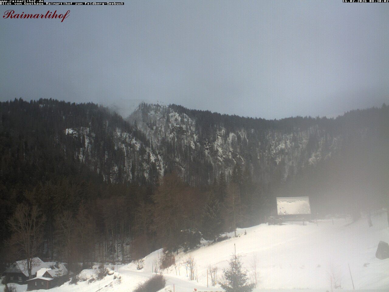 Archiv Foto Webcam Feldberg Raimartihof
