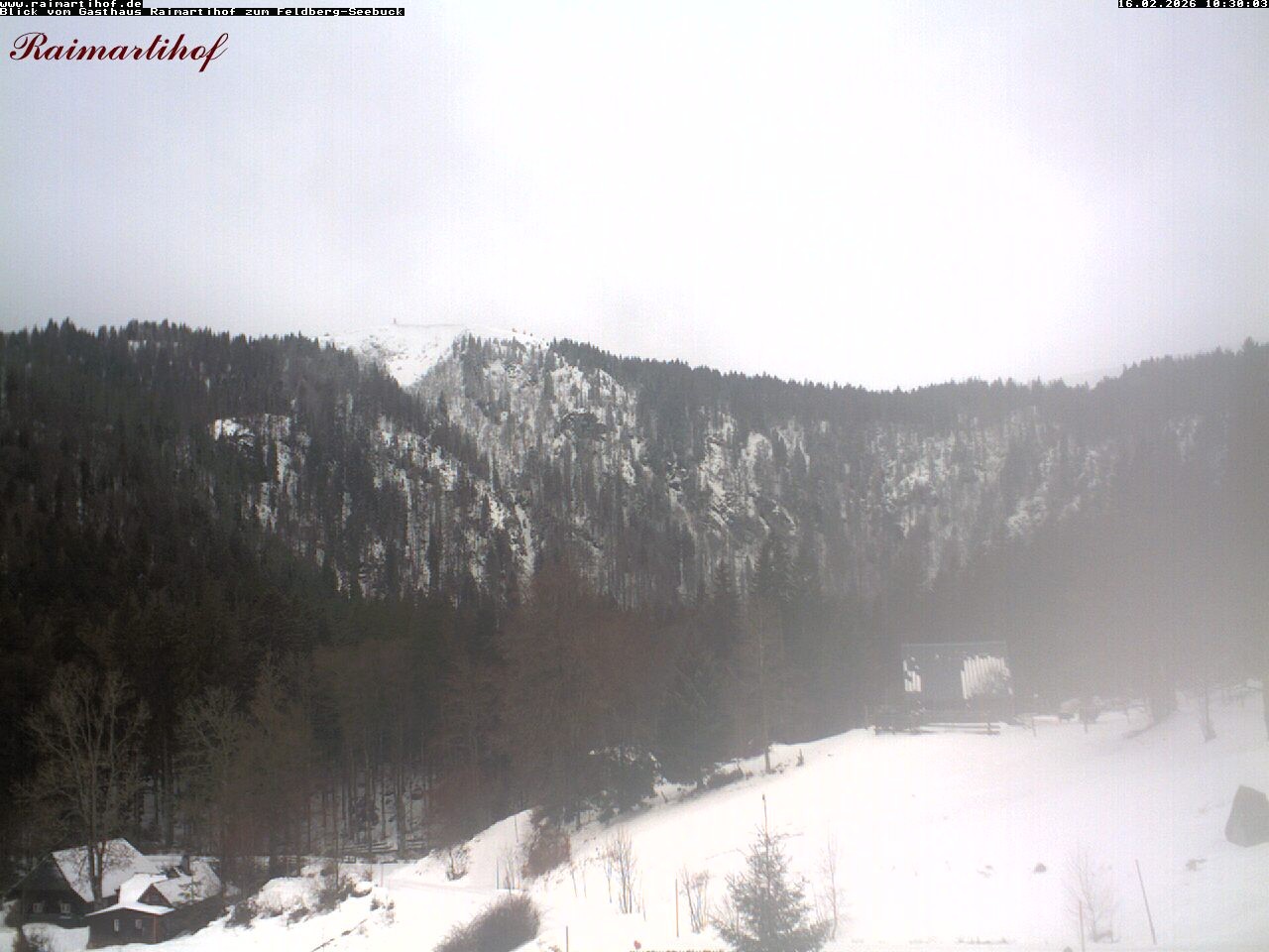 Archiv Foto Webcam Feldberg Raimartihof